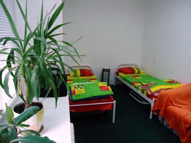 Hostel Kreshatikキエフ 部屋 写真